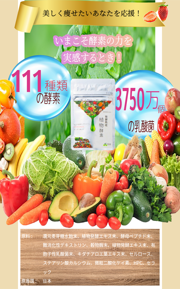 酵素×酵母×乳酸菌で健康的にシェイプアップ!